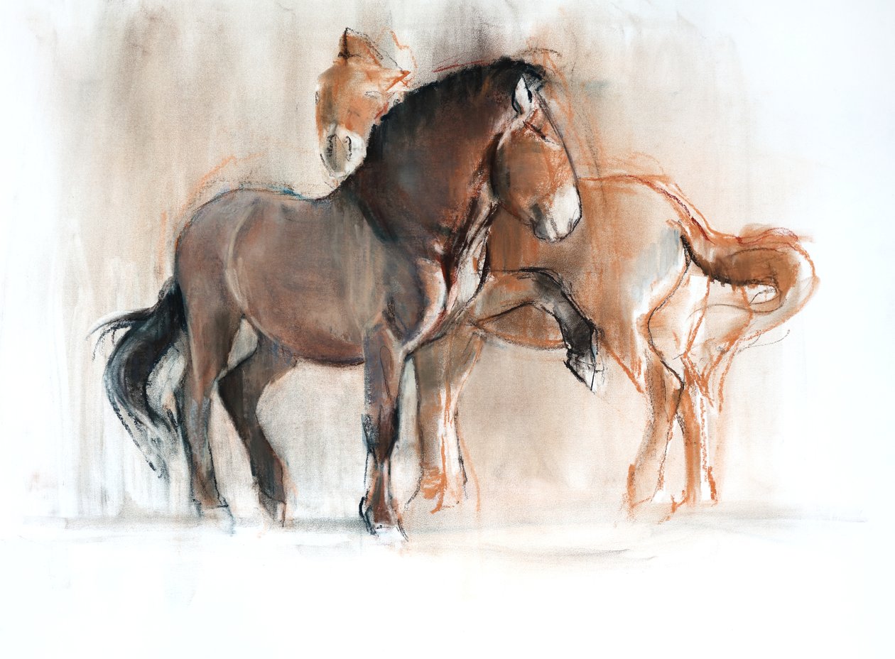 Due (Przewalski), 2013 da Mark Adlington