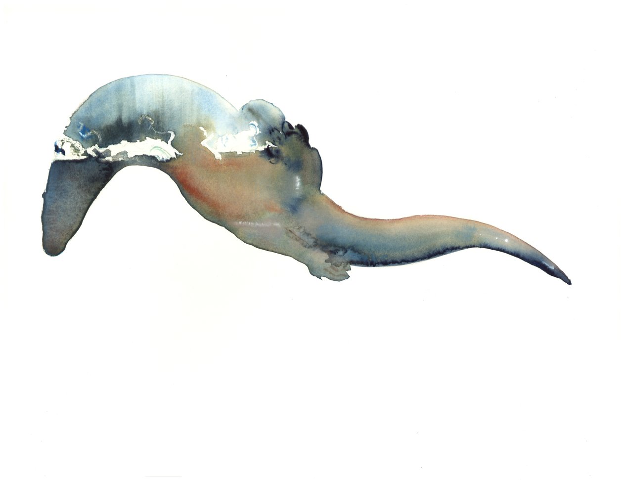 Titolo sconosciuto da Mark Adlington