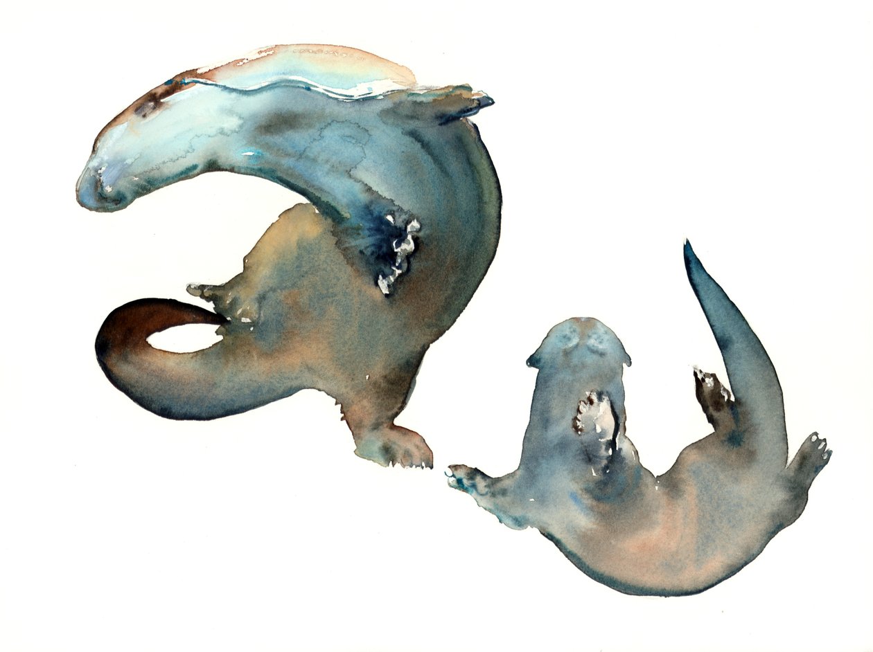Titolo sconosciuto da Mark Adlington