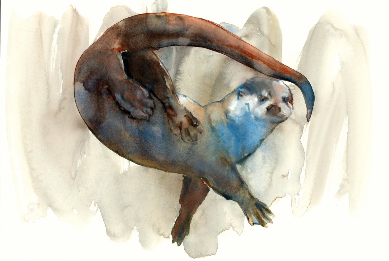 Titolo sconosciuto da Mark Adlington