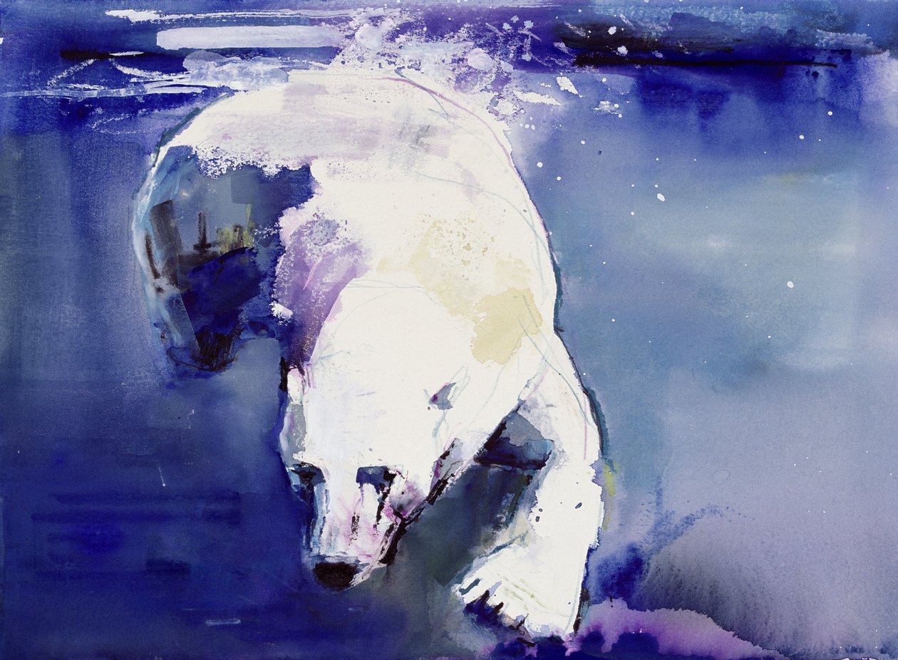Orso subacqueo, 1999 da Mark Adlington