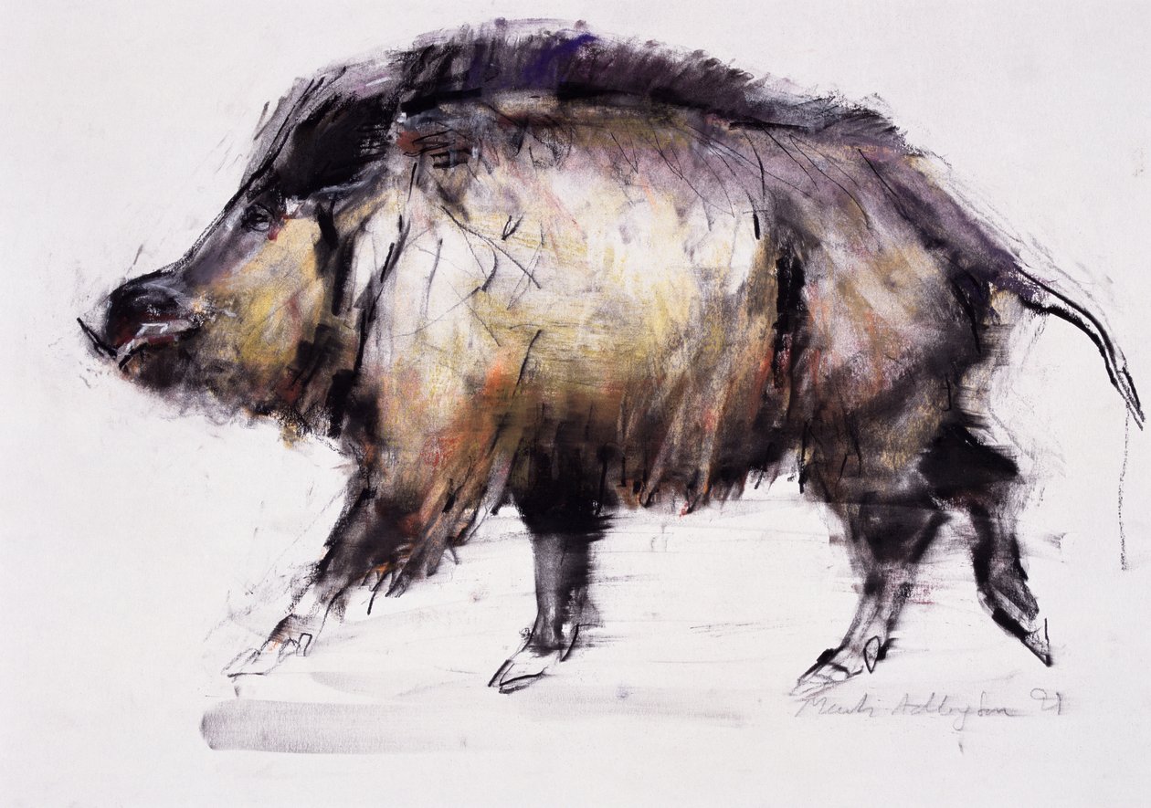 Cinghiale, 1999 da Mark Adlington