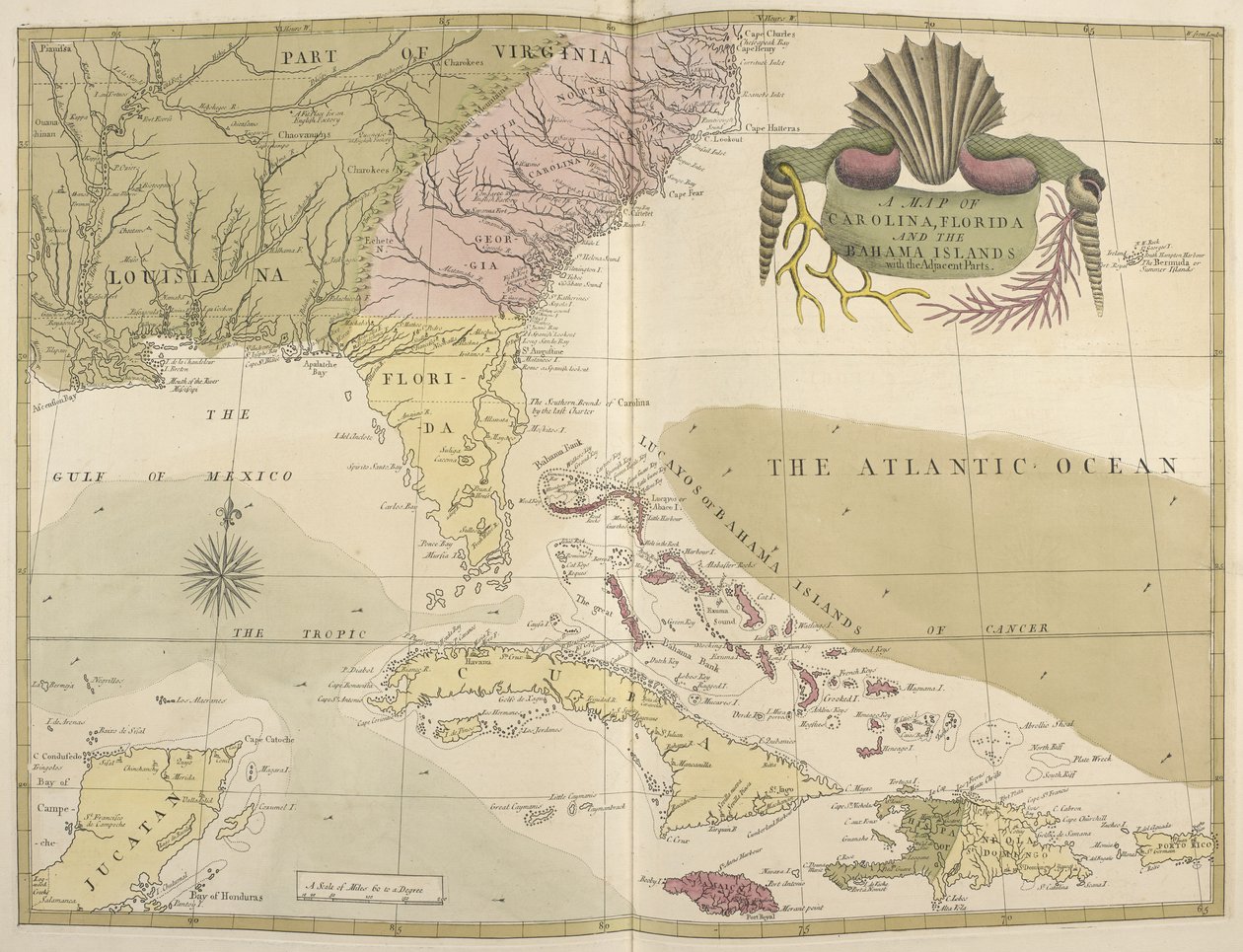 Mappa della Carolina, Florida e Isole Bahama da Mark Catesby