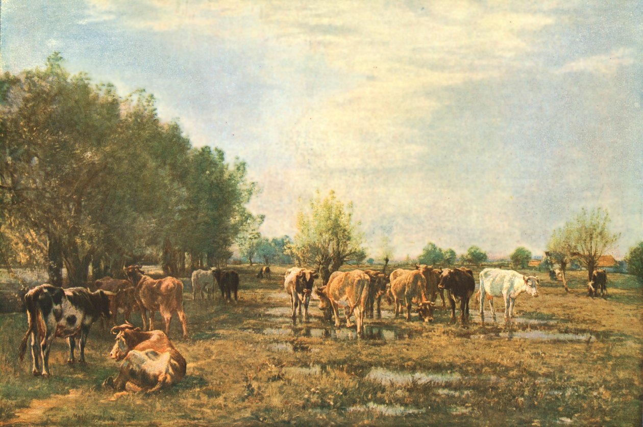 Prati di palude con bestiame, 1877, c1930 da Mark Fisher
