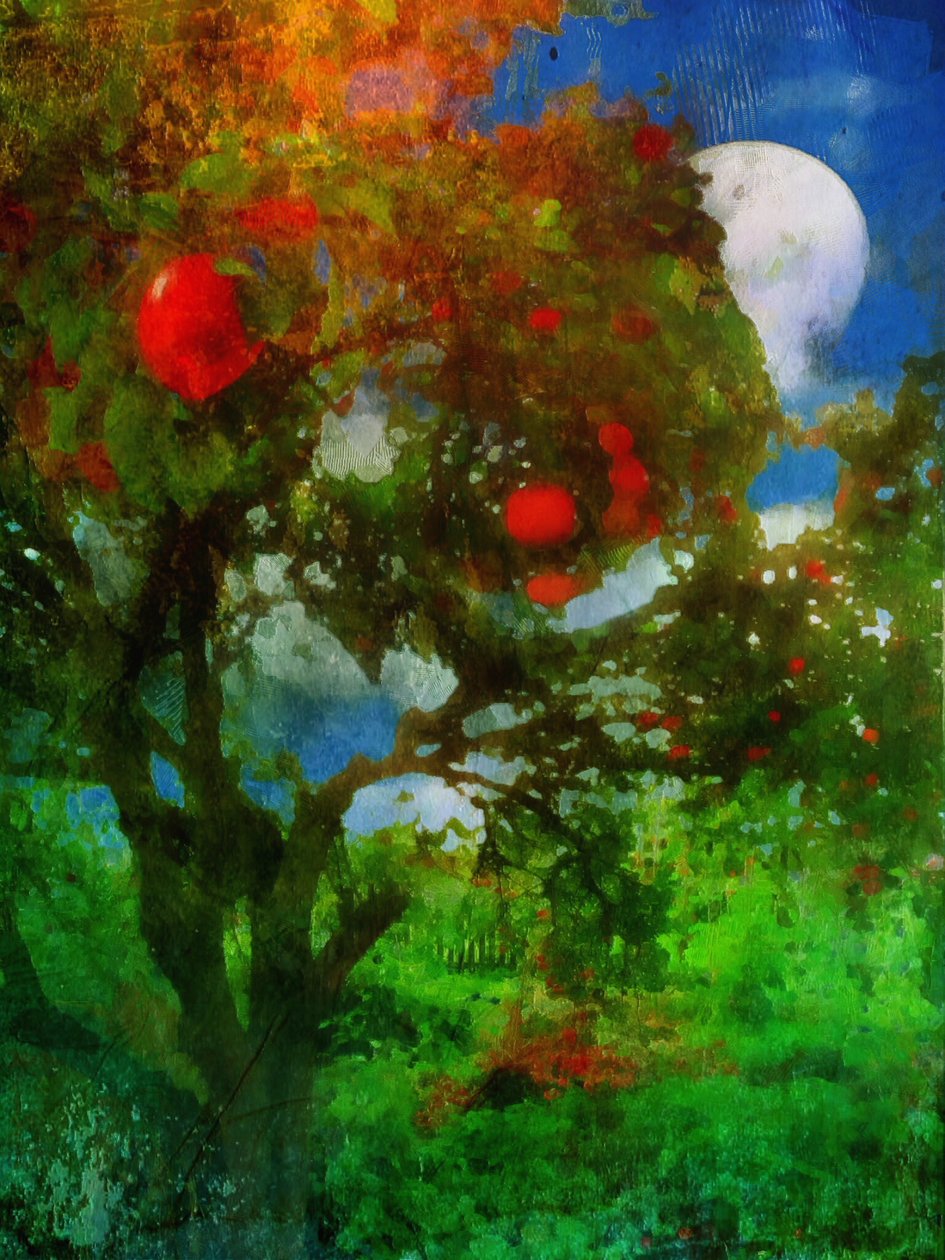 frutteto al chiaro di luna da Mark Gordon