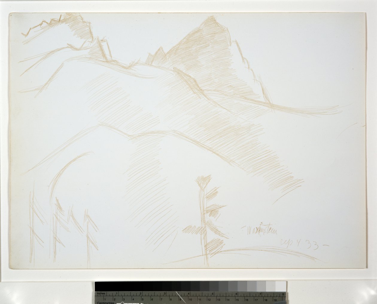 Paesaggio montano con pini da Marsden Hartley