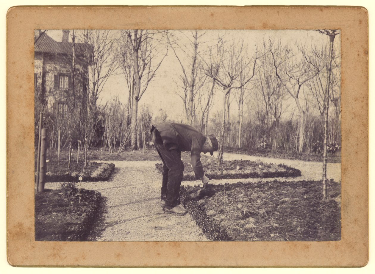 Gustave Caillebotte (1848-94) che fa giardinaggio a Petit Gennevilliers, febbraio 1892 da Martial Caillebotte
