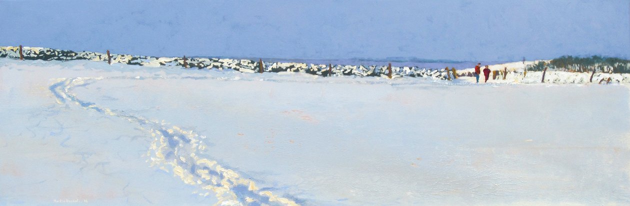 Neve in arrivo, 2013 da Martin Decent