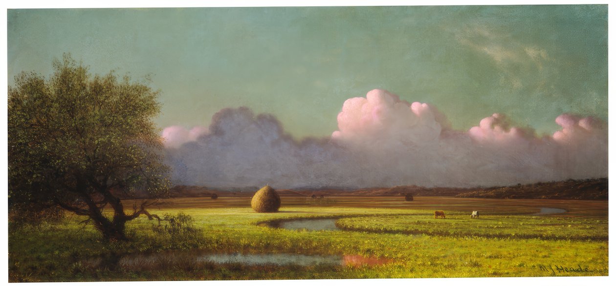 Luce del sole e ombra: Le paludi di Newbury da Martin Johnson Heade