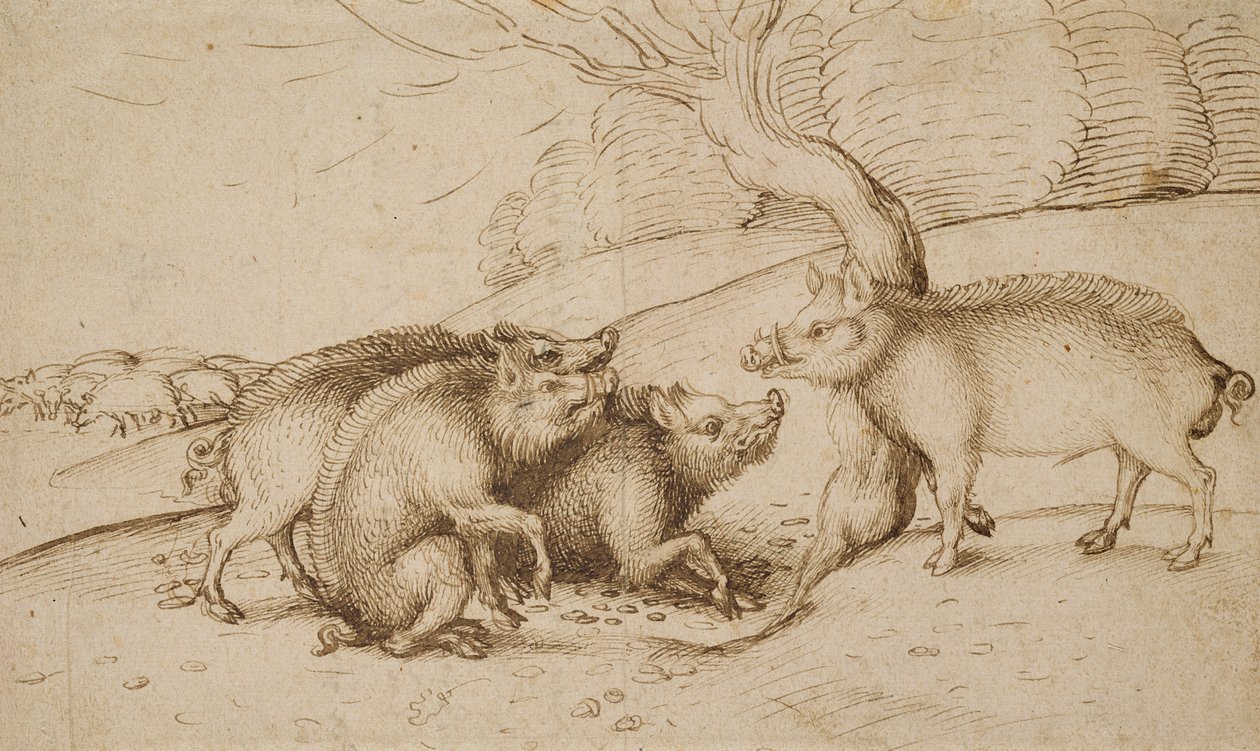 La famiglia del cinghiale da Martin Schongauer