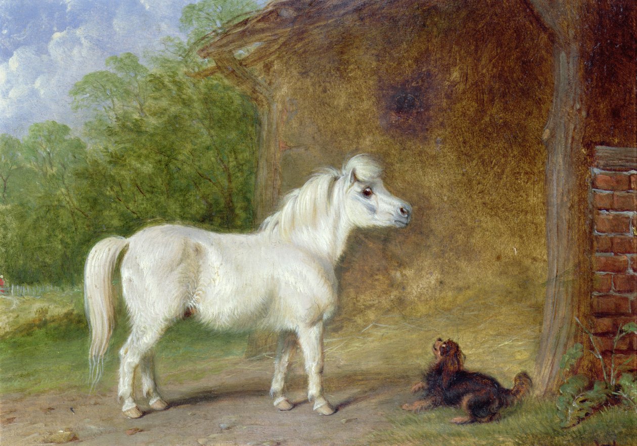 Un pony delle Shetland e un King Charles spaniel da Martin Theodore Ward