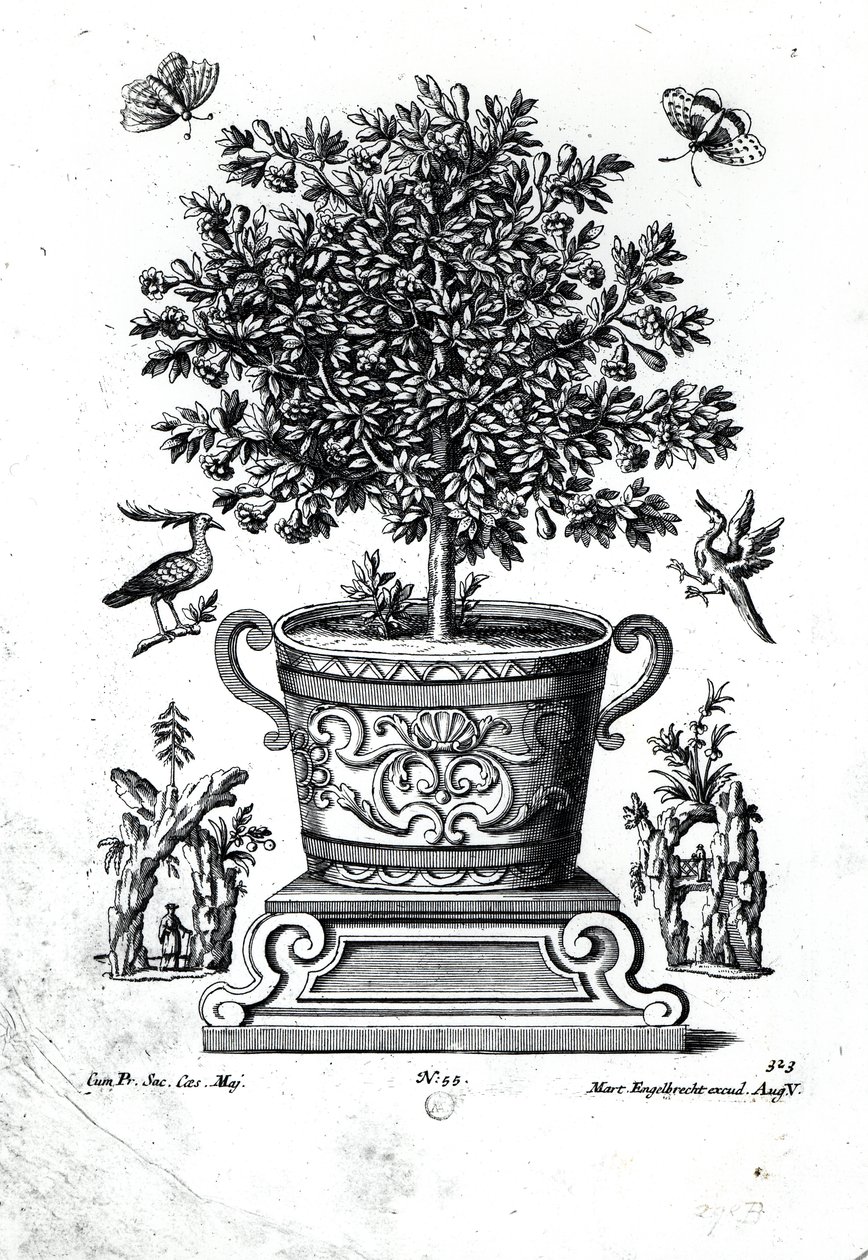 Albero ornamentale in un