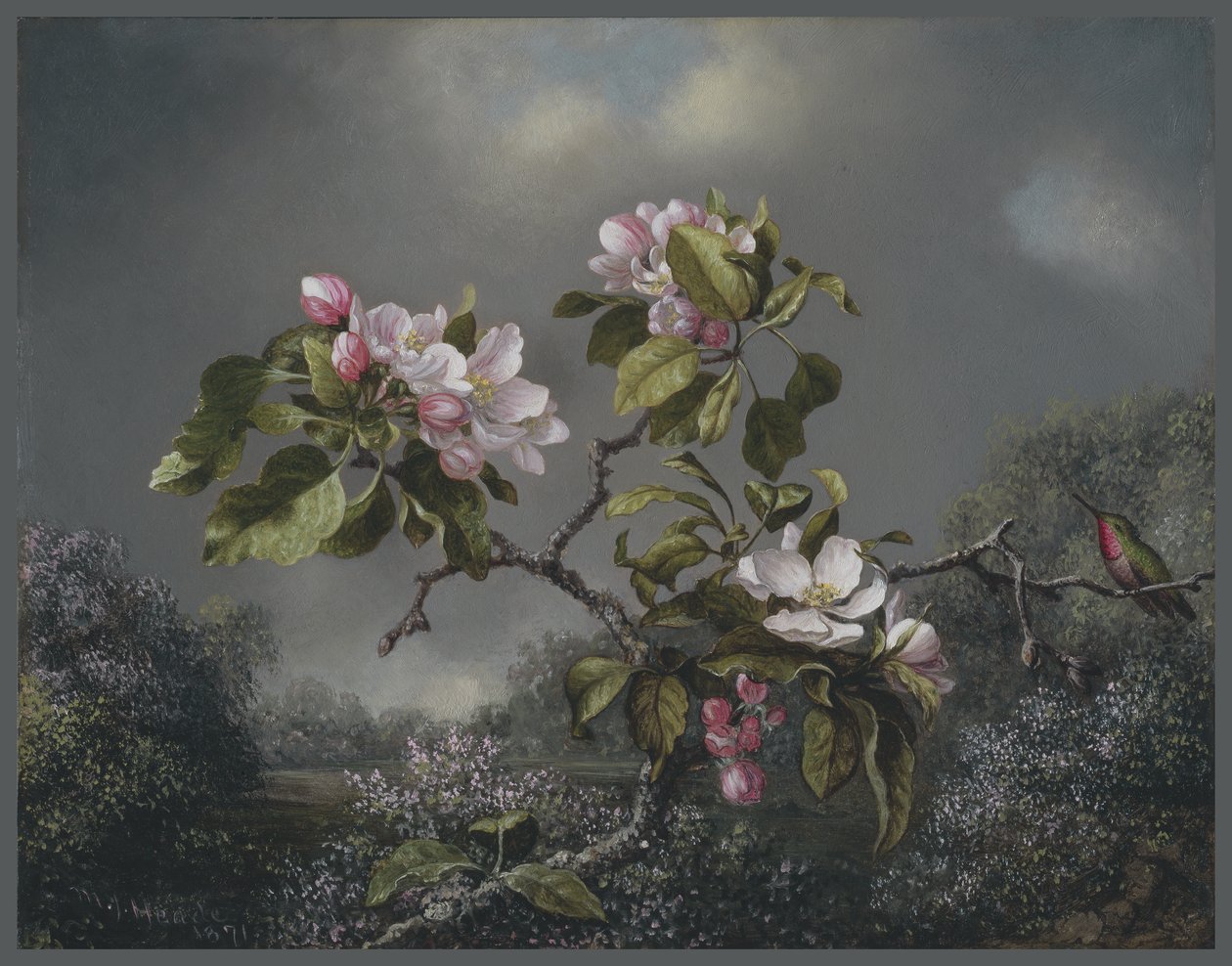 Fiori di melo e colibrì, 1871 da Martin Johnson Heade