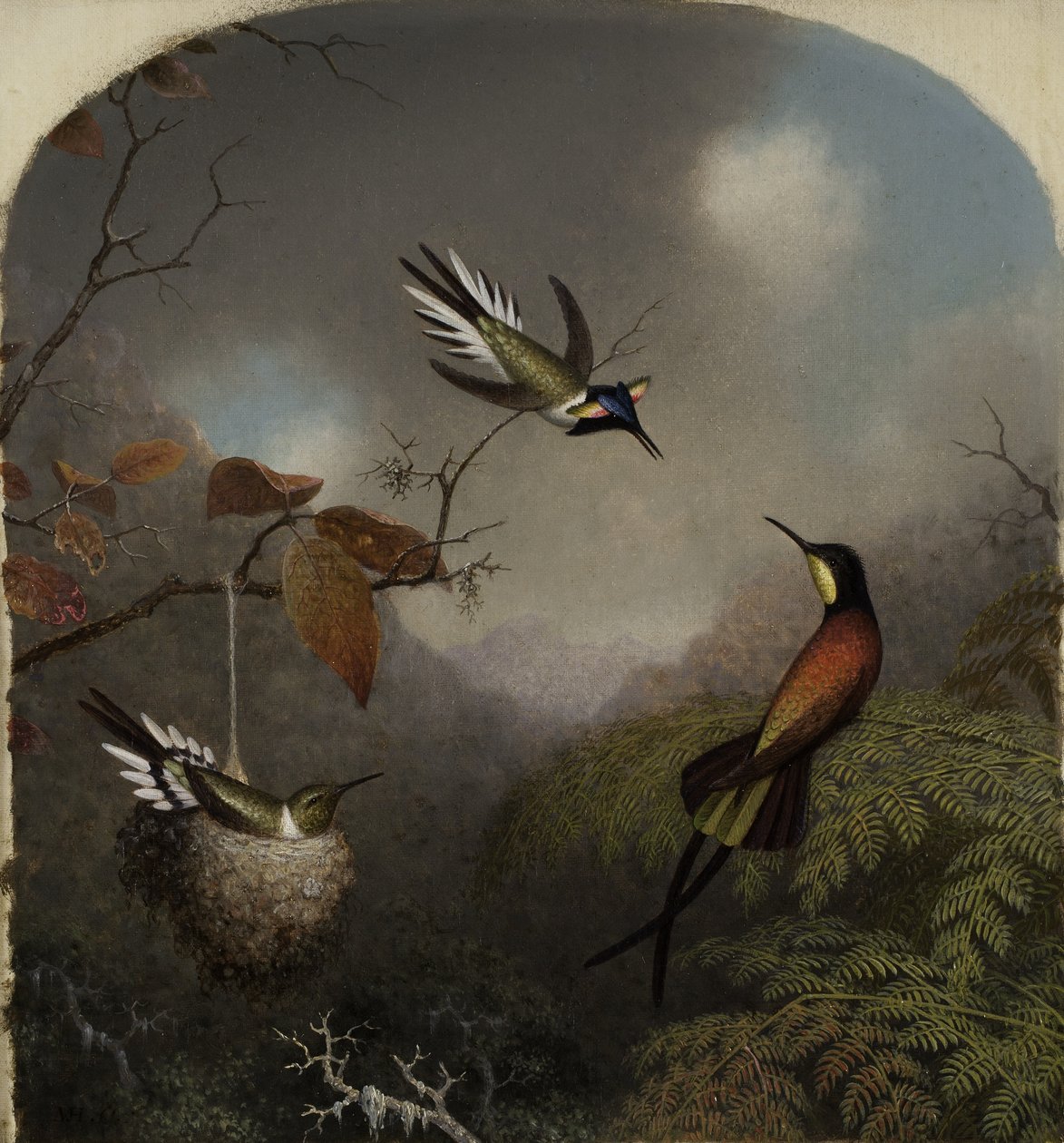 Colibrì: Due sungem e un topazio cremisi, 1866 da Martin Johnson Heade