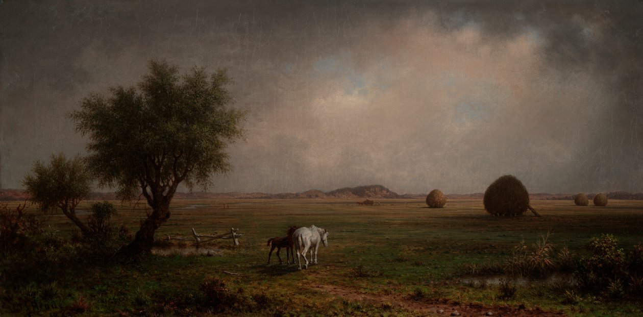Cavalla e puledro in una palude da Martin Johnson Heade