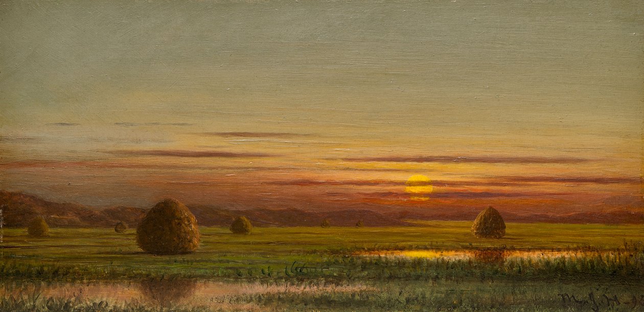 Paludi da Martin Johnson Heade