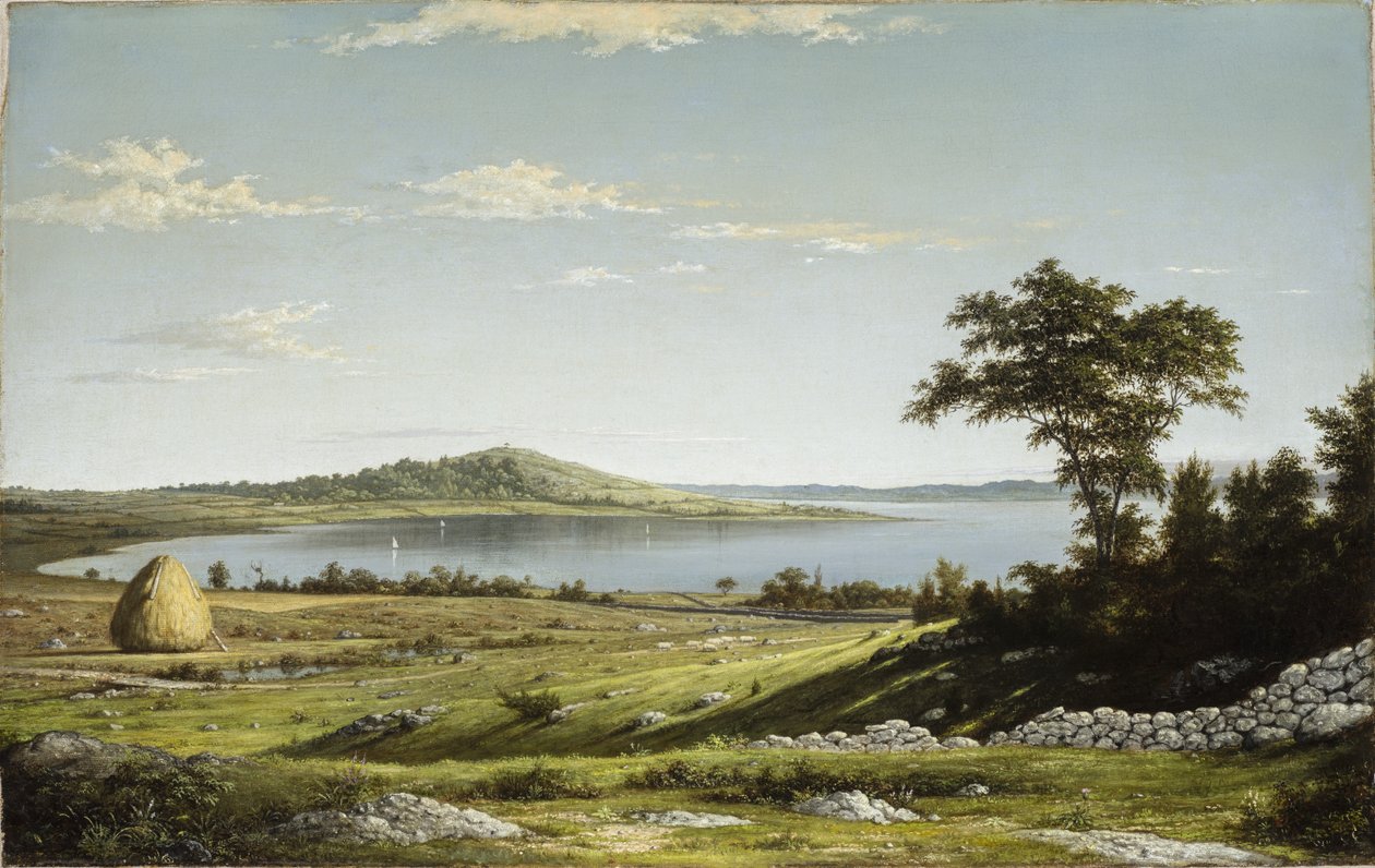 Costa del Rhode Island da Martin Johnson Heade