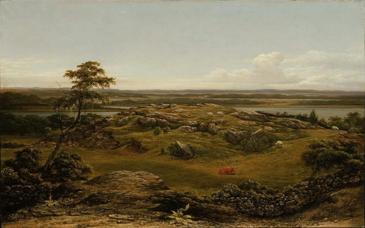 Rocce nel New England da Martin Johnson Heade