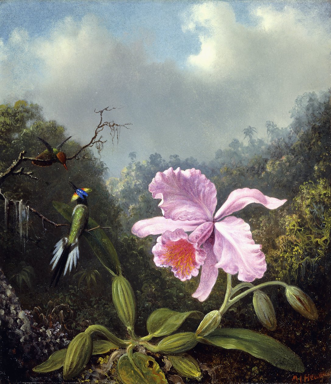 Natura morta con orchidea e coppia di colibrì, c.1890s da Martin Johnson Heade