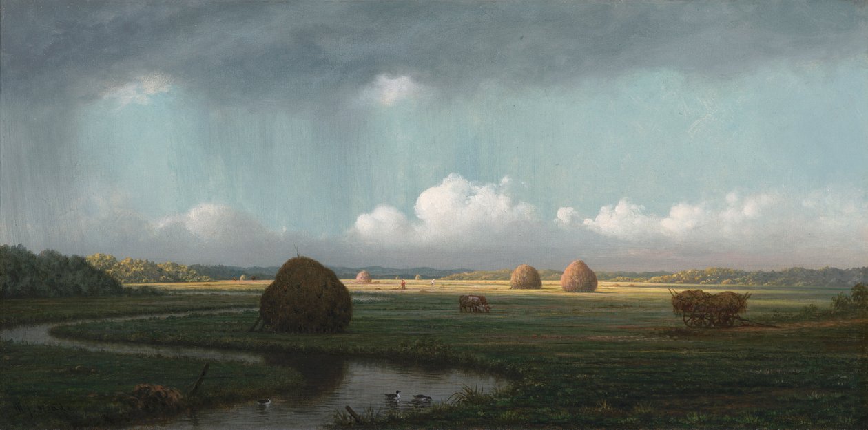 Pioggia improvvisa, paludi di Newbury da Martin Johnson Heade