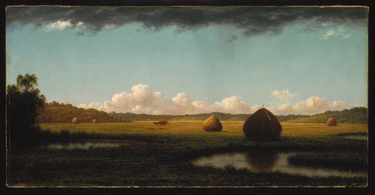 Piogge estive da Martin Johnson Heade