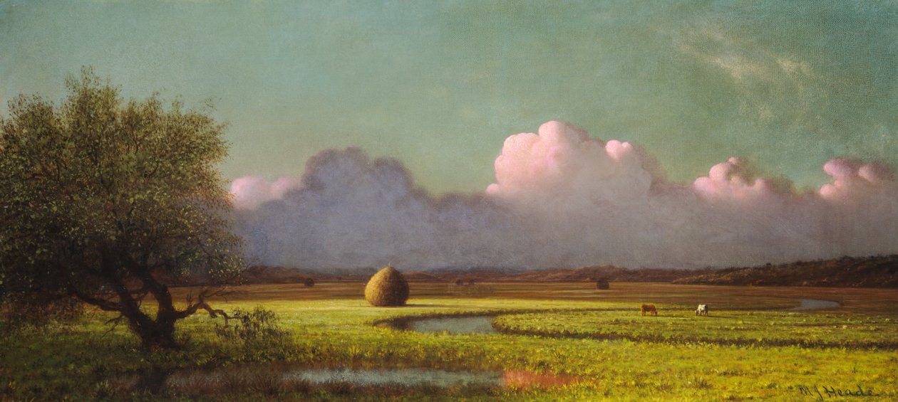Luce e ombra del sole: le paludi di Newbury da Martin Johnson Heade