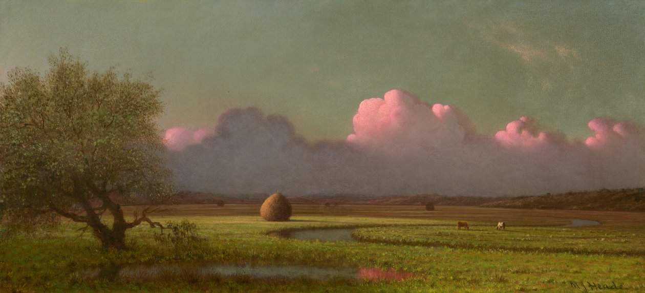 Luce solare e ombra: le paludi di Newbury da Martin Johnson Heade