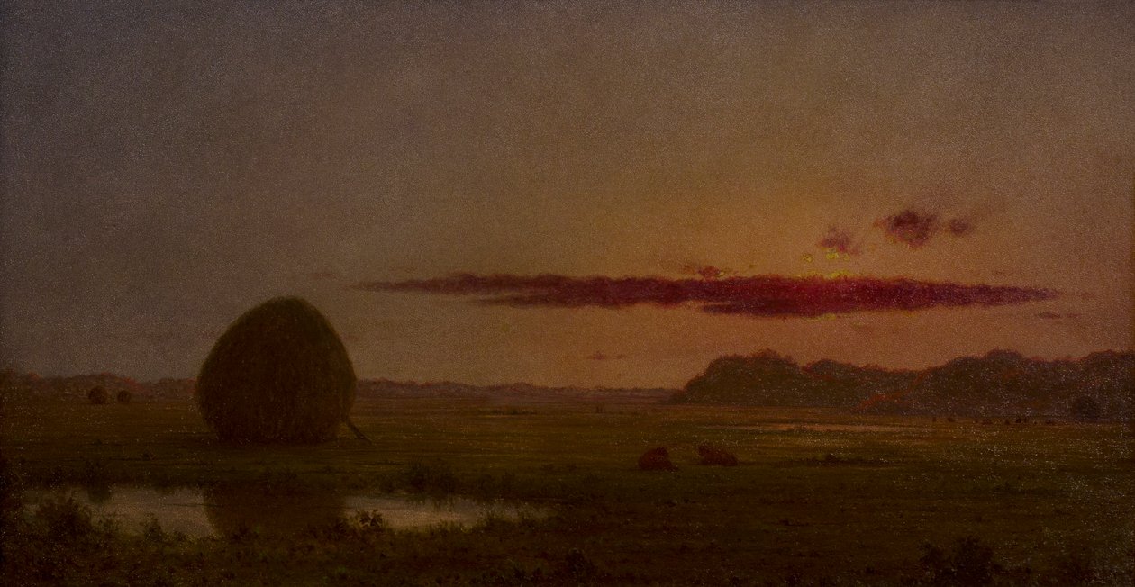 Tramonto, prati di Newburyport da Martin Johnson Heade