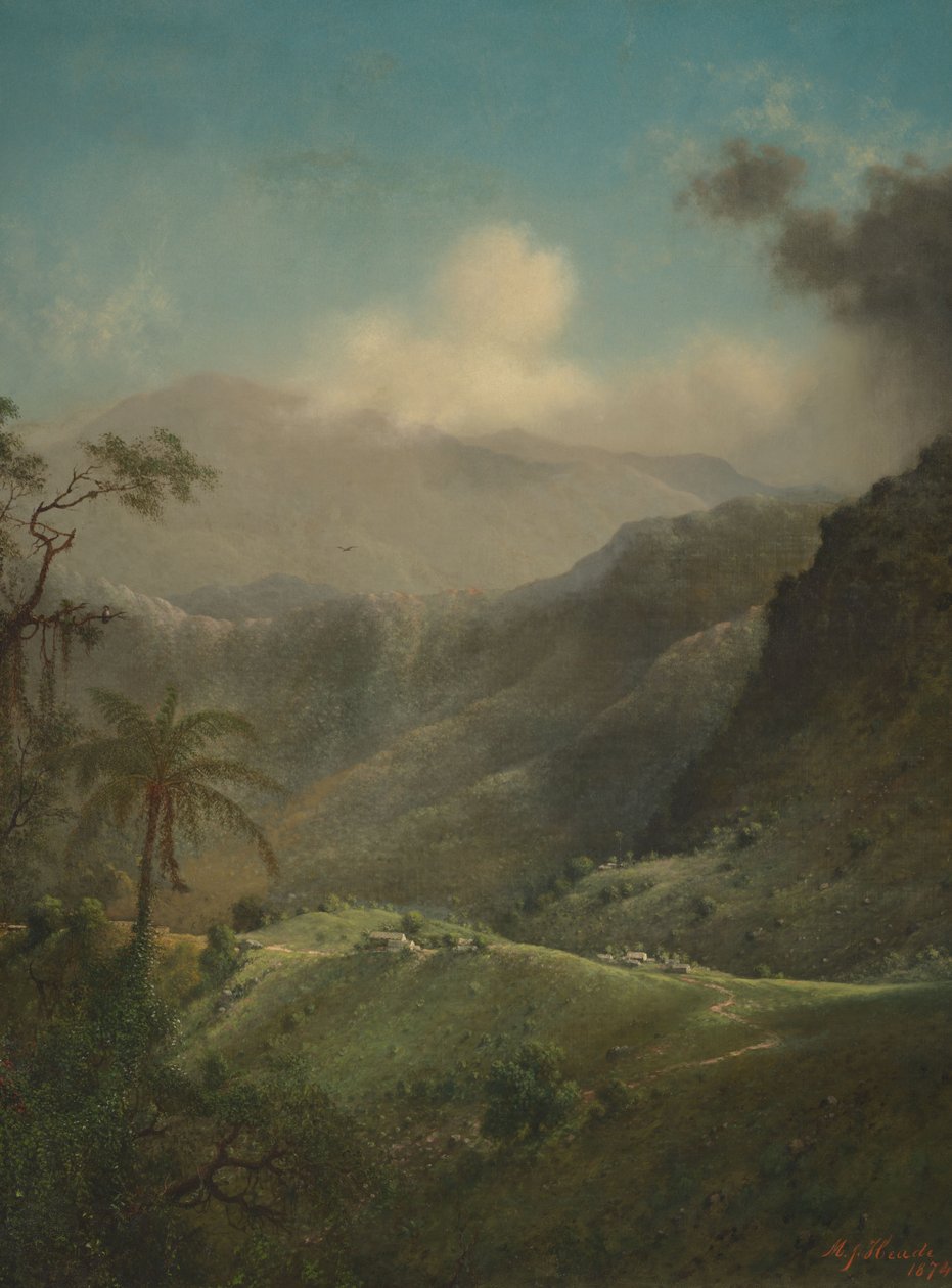 Altopiani tropicali da Martin Johnson Heade
