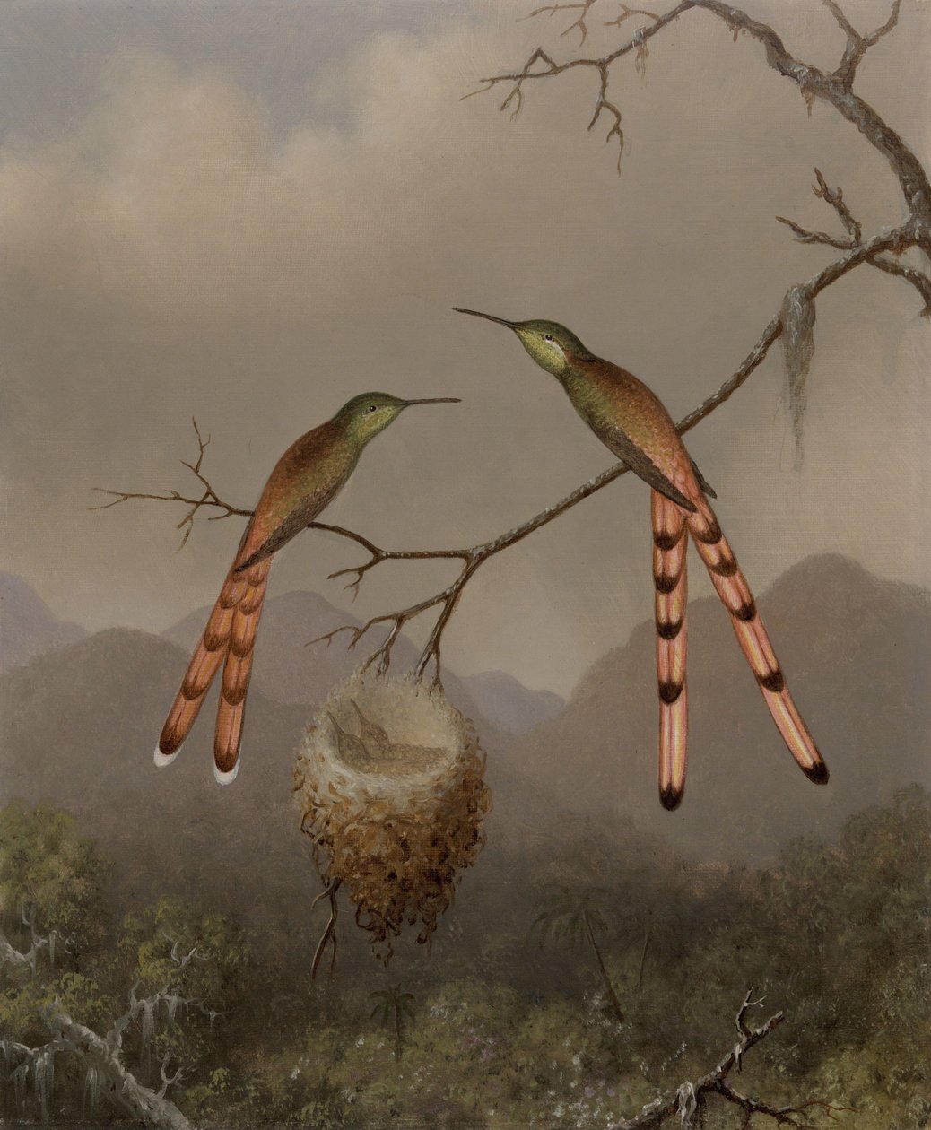 Due colibrì con i loro piccoli da Martin Johnson Heade