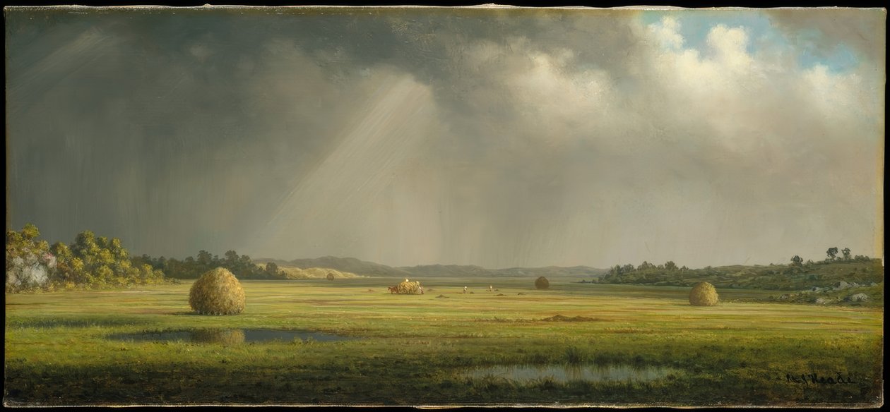 Prati di Newburyport da Martin Johnson Heade