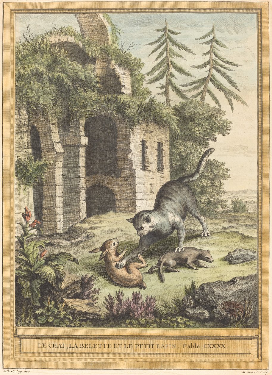 Il gatto, la donnola e il coniglio da Martin Marvie after Jean Baptiste Oudry