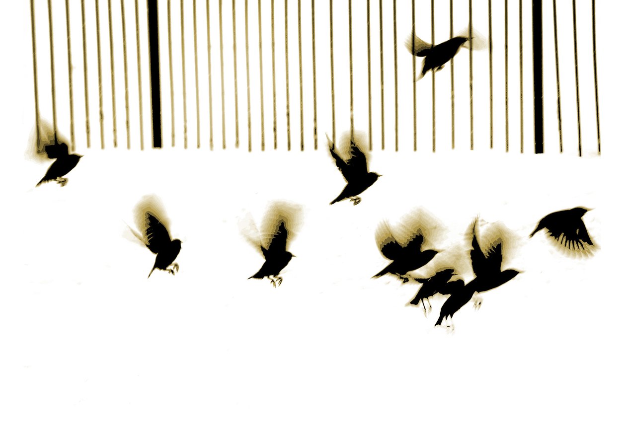 Storni, 2003 (fotoincisione) da Martin Mossop