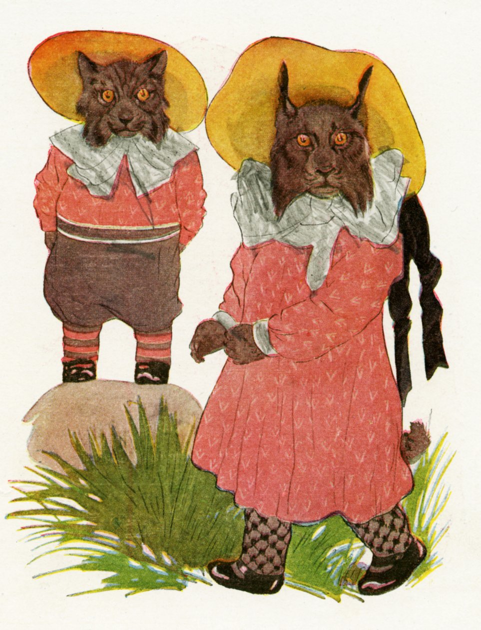 Lince rossa e lince canadese, 1913 da Martin Ross