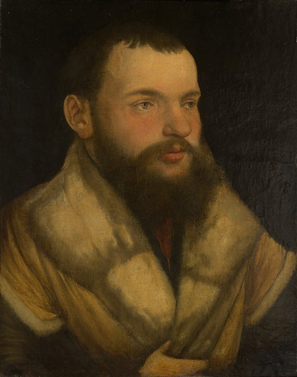 Ritratto di un uomo, 1520-30 da Martin Schaffner