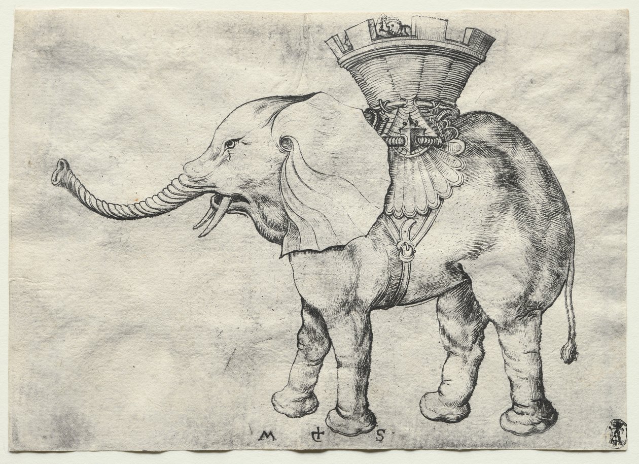 Un elefante con howdah da Martin Schongauer