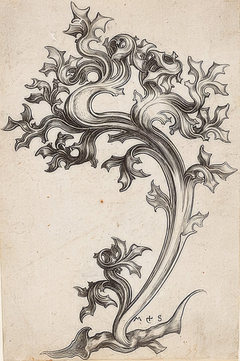 Ornamento fogliare di un cardo da Martin Schongauer