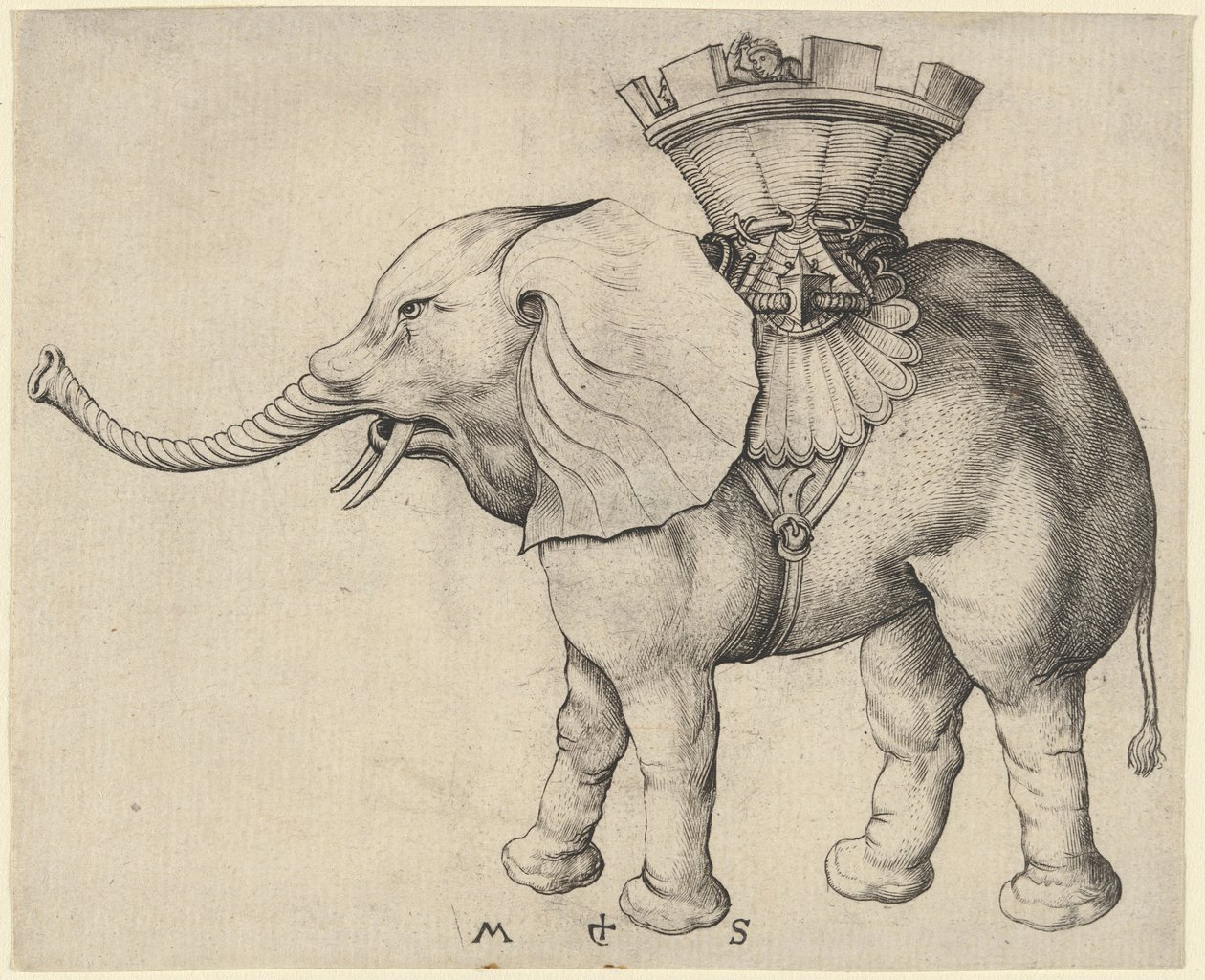 Elefante da Martin Schongauer