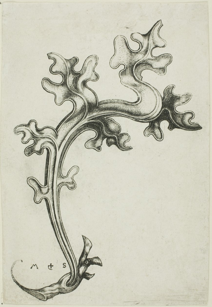 Ornamento a forma di foglia da Martin Schongauer