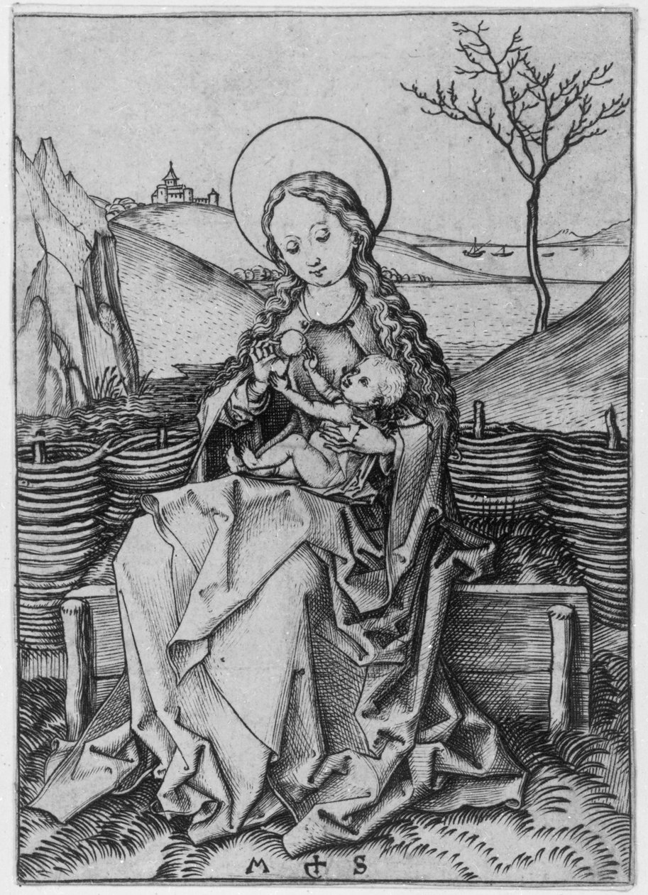 Madonna sul banco erboso da Martin Schongauer