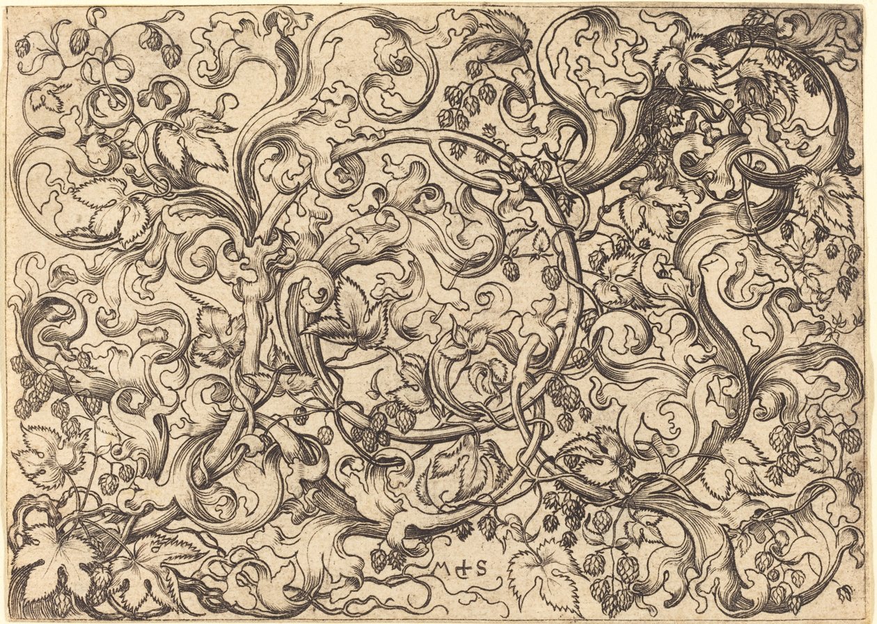 Ornamento con Vite di Luppolo da Martin Schongauer