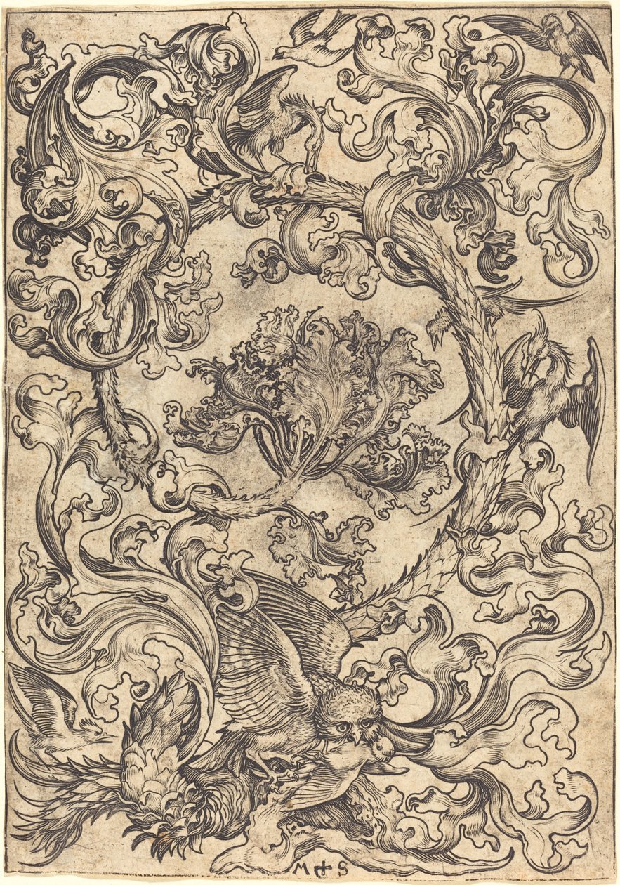 Ornamento con Gufo Deriso dagli Uccelli diurni da Martin Schongauer