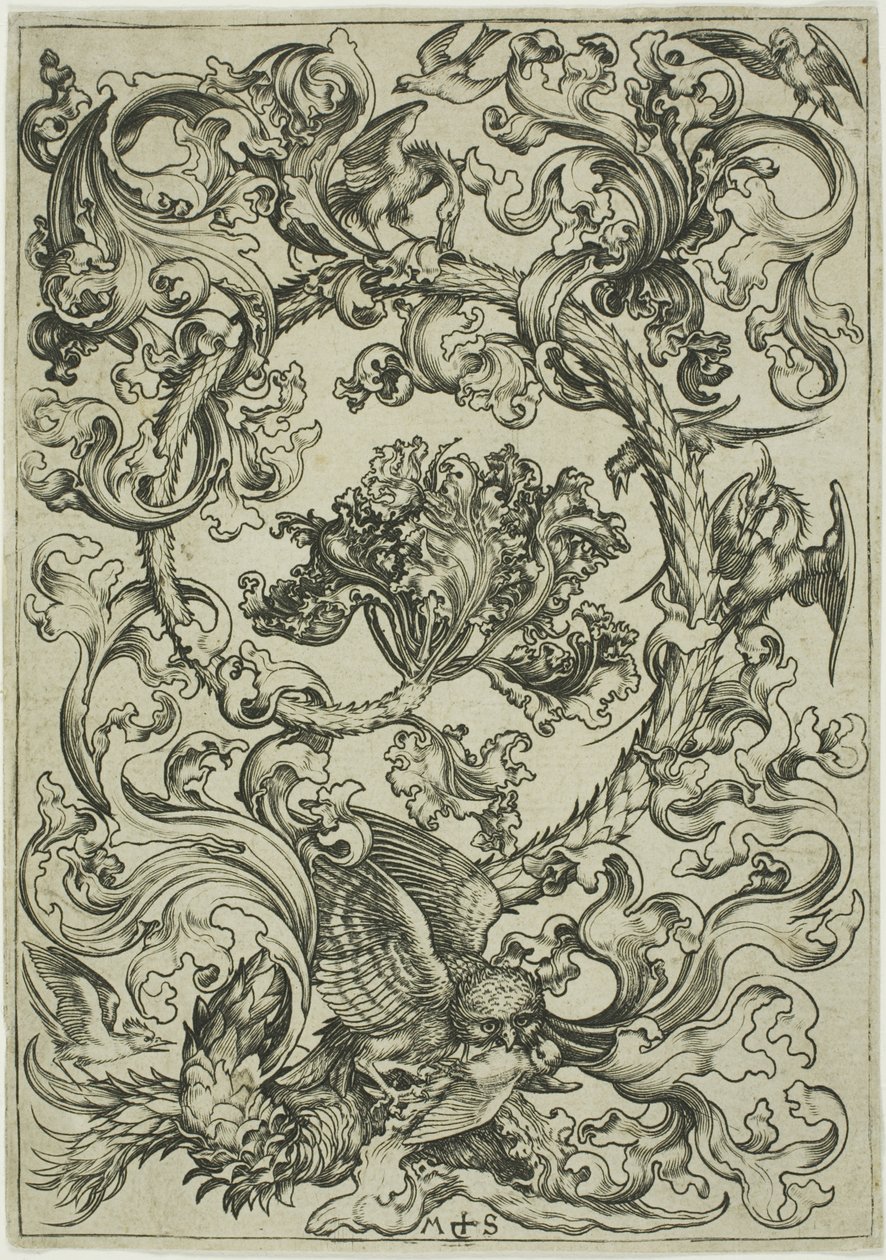 Ornamento con gufo beffato da uccelli diurni da Martin Schongauer
