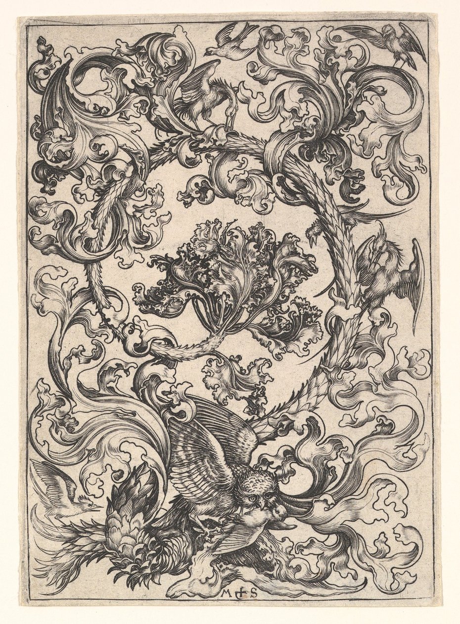 Ornamento con gufo deriso dagli uccelli diurni da Martin Schongauer