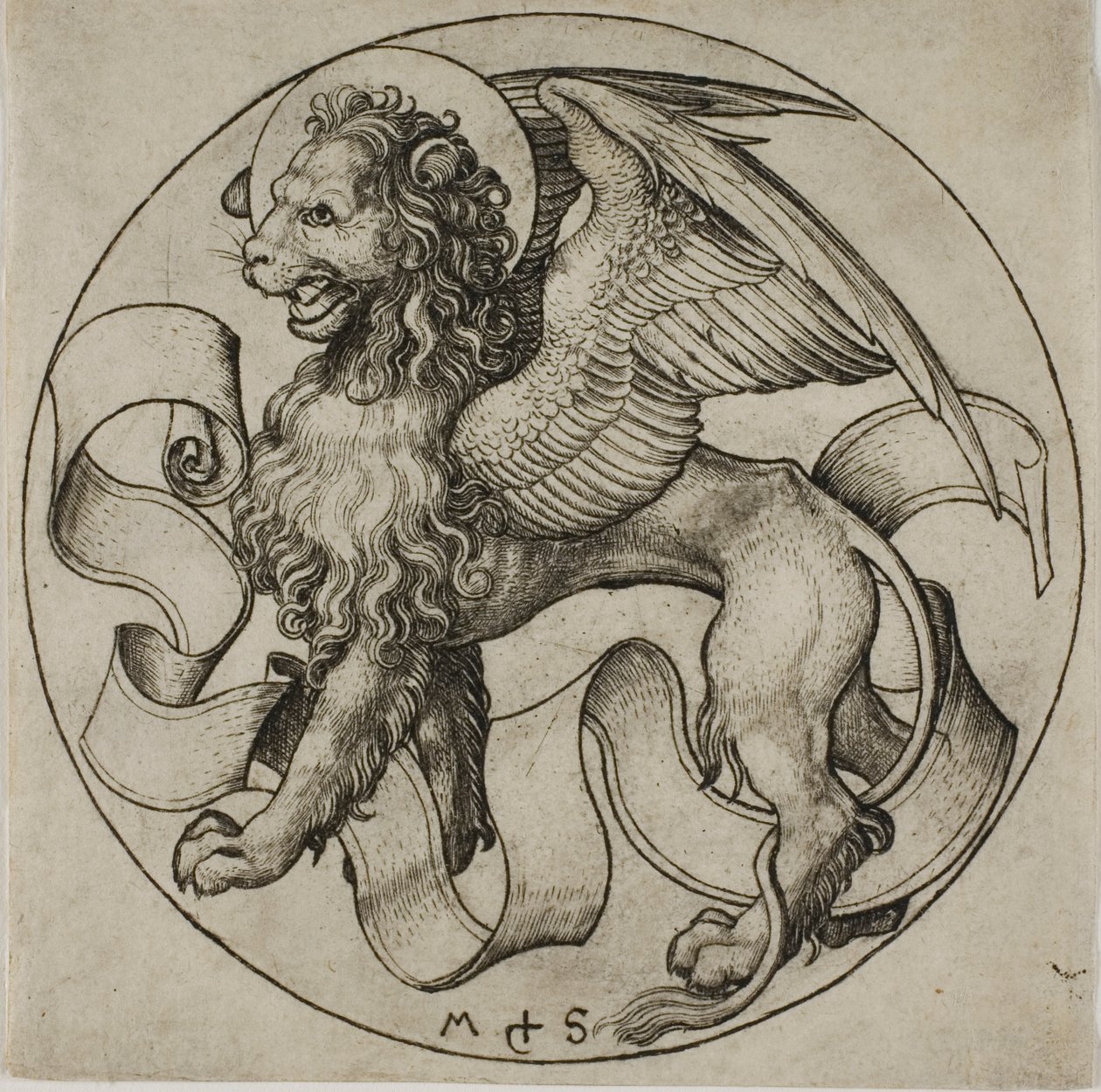 Il leone di San Marco da Martin Schongauer