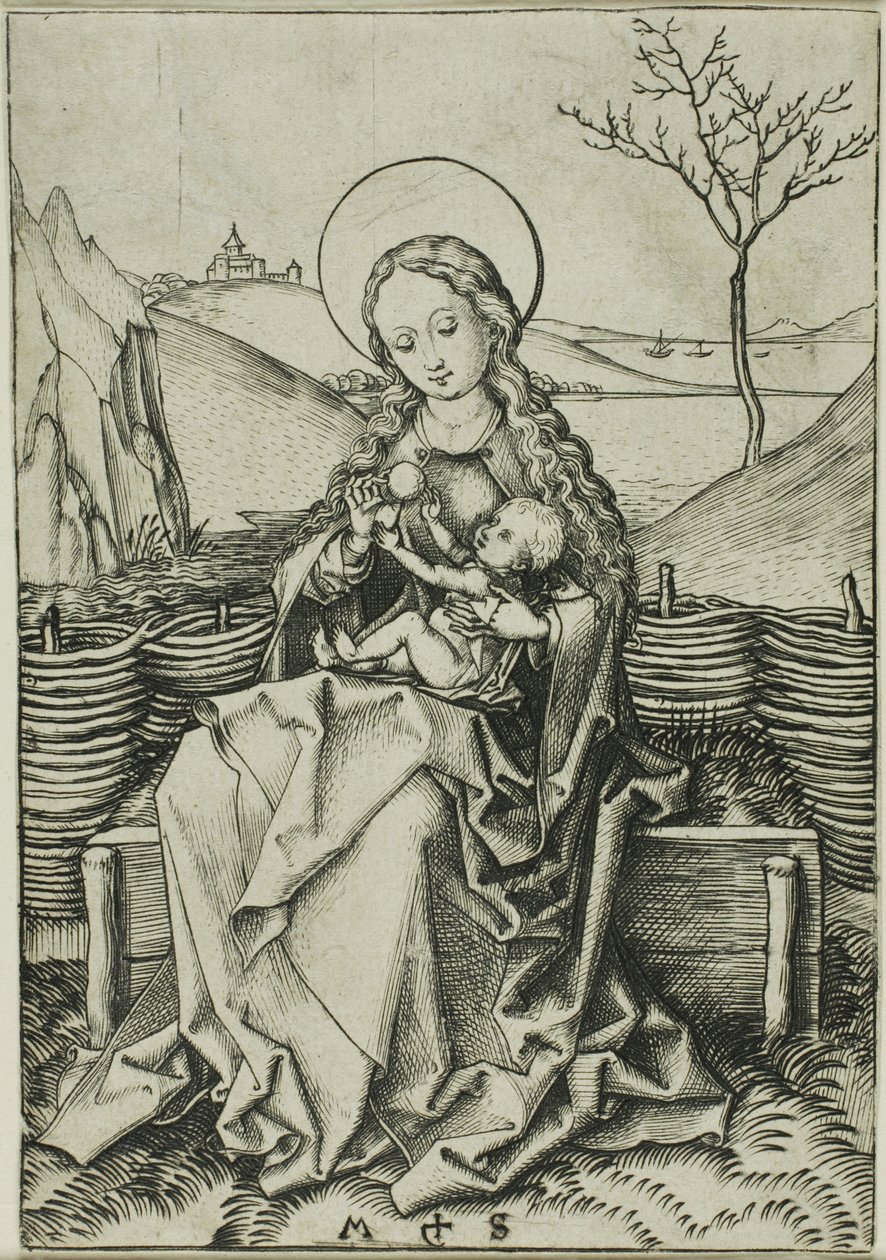 La Madonna con il Bambino su una panchina erbosa da Martin Schongauer