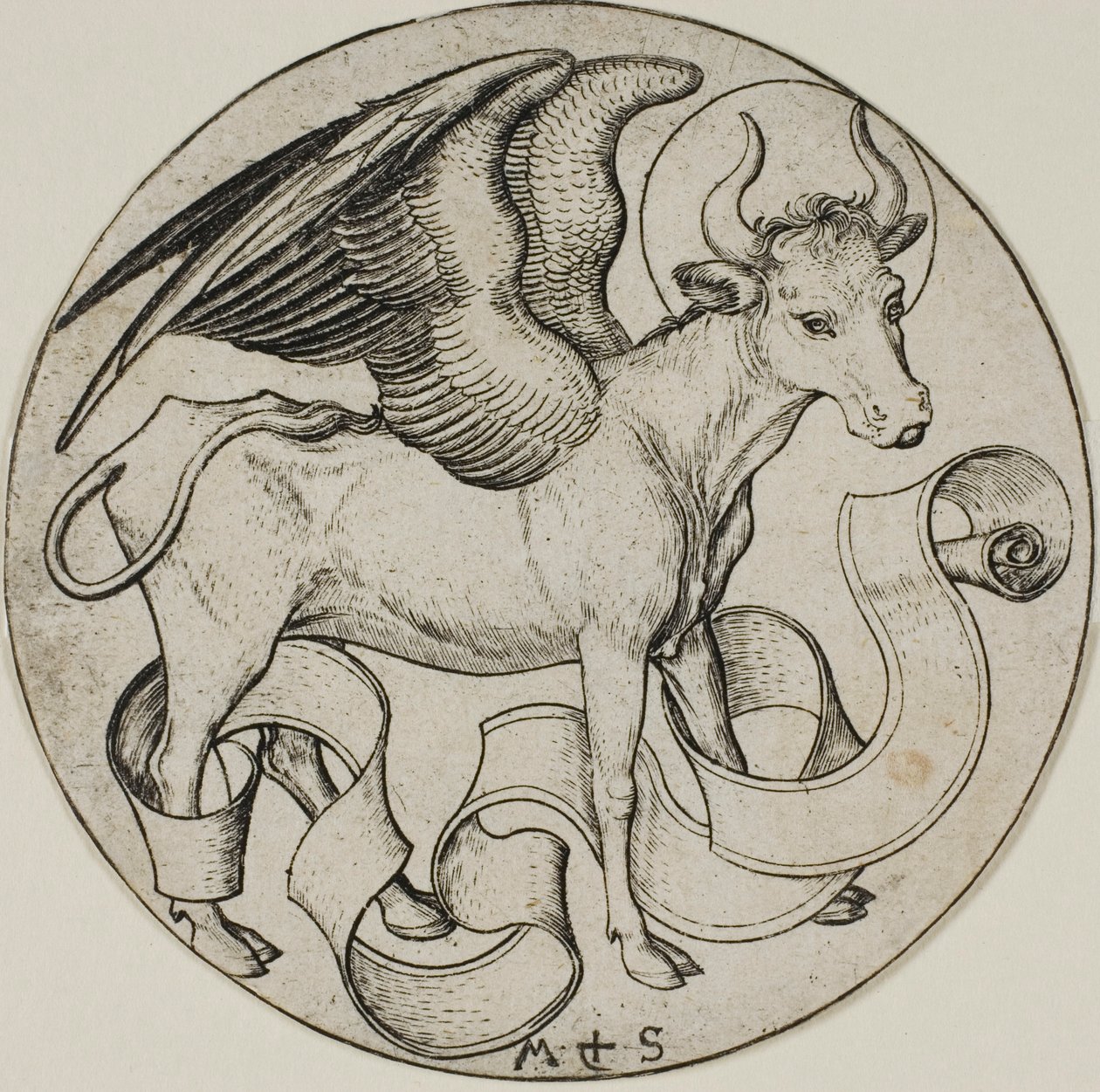 Il bue di San Luca da Martin Schongauer