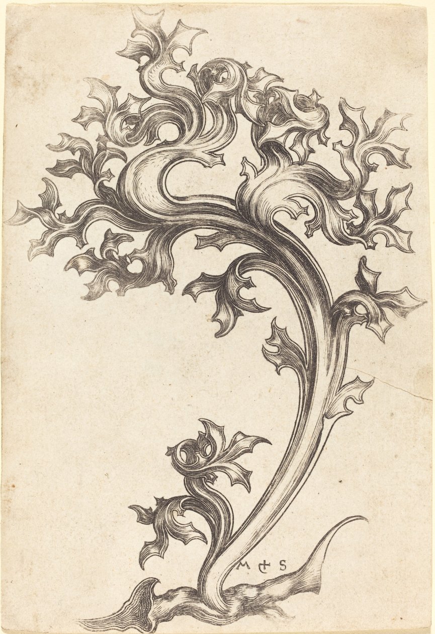 Ornamento di cardo da Martin Schongauer