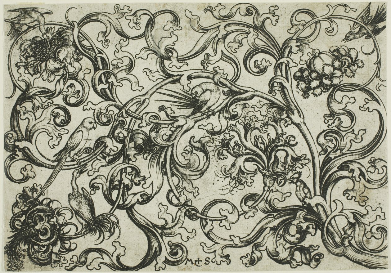 Ornamento a vite con pappagalli e uccelli da Martin Schongauer
