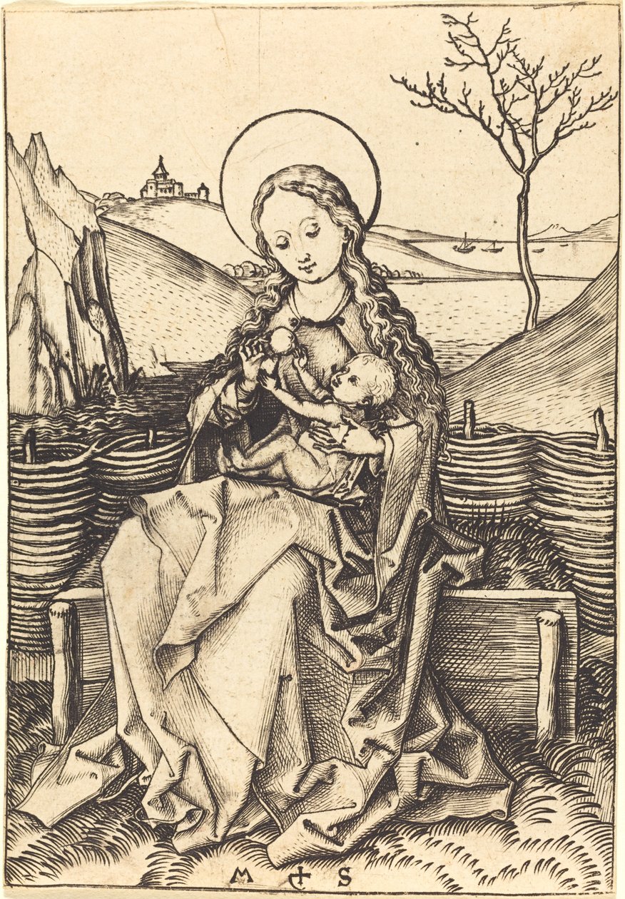Vergine e Bambino su una Panchina Erbosa da Martin Schongauer